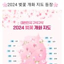 2024년 벚꽃 개화시기 이미지