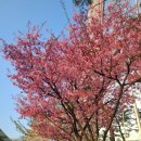 고기연구소 바른 이미지