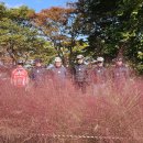 25.10.28 미사리조정경기장 핑크몰리 이미지