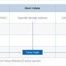 MK마케트리 이미지