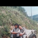 삼성신발상회