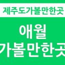 애월연탄집