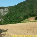 김씨네민박 이미지