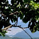 보현사 주차장입구 이미지