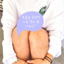 두루두루컴퍼니 이미지