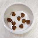 퍼피랑 | 퍼피랑키티랑 하트펫트릿 후기 - 강아지 심장, 기관지 영양제