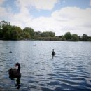 웨스턴스프링스 이미지