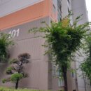 작전 풍림아이원아파트 이미지