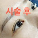 제주속눈썹펌 시술만족도 높은 노형동 비바뷰티 눈썹&amp;속눈썹