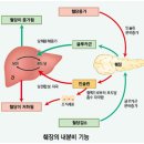 여주사랑약국 이미지