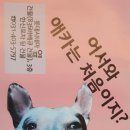 오르치그로치 이미지