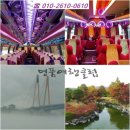 봄꽃축제 소식 전합니다 땅끝매화축제 보해매실농원의 축제 이야기 광주관광버스 대절전문 명품여행클럽...