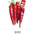 현대종묘농약사 네이버블로그