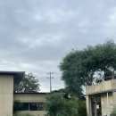 서광리-12 | 🍽️제주 서광리 소규모식탁_조용한 제주 브런치 맛집 내돈내산 후기