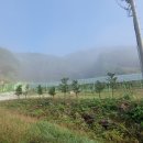 치악산둘레길 9코스 자작나무길 이미지