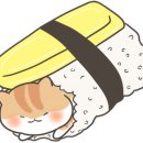 편하개 놀다가냥 이미지