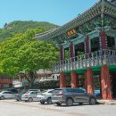 서림사 | 가장 좋아하는 사찰 달마야놀자 촬영지 김해 은하사 주차장 카페