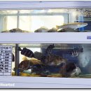 감포참가자미횟집 이미지