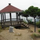 보산한의원 Daum카페