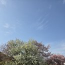 병도 | 이유없는병 조상병 뜻 증상 만신당 후기