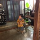 더마리(The mari)
