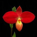 반포삼정공인중개사사무소 이미지