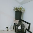 안면도일마레 이미지