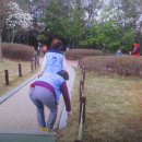 거창읍-29 이미지