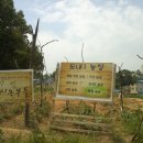 김성섭 농장 이미지