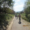 분당-391 이미지