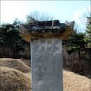 윤원거 묘비 Daum카페