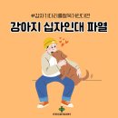 가평동물병원 이미지