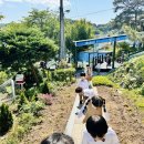 가베놀이 (A) 이미지