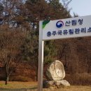 충주국유림관리소, 산나물·산약초 불법채취 특별단속 실시 이미지