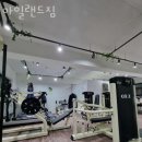 아일랜드짐 이미지