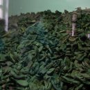 신발 조형물 이미지