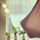 강동구 고덕동 요가 버드플라잉요가 가격 오시는길 후기