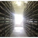 즐거운영농조합 이미지