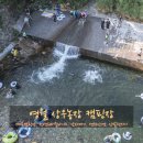 먼농장 | 아이와 여름휴가 간다면 무조건 여기! 찜통더위 잊게 해준 영월 상우농장 계곡 &amp; 체험 후기