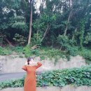 코아옷수선 이미지