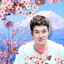 [기사공유]환희...트로트남자가수 2위(디시트랜드 일간순위기사) 이미지