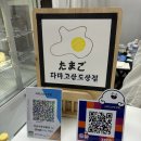 타마고산도상점 이미지