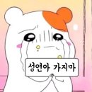 오피자 이미지