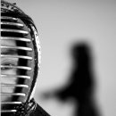 금천검도관 이미지