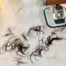 세븐일레븐 고산힐링점 | 의정부 고산 아크비헤어 :: 키즈룸 있는 미용실 레이어드컷 + 헤어크리닉 후기