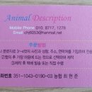 나래디자인 - 의정부시 태평로 152 | 나래디자인
