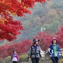 절정맞은 논산 대둔산 수락계곡 단풍(퍼옴) 이미지