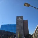 지산로 | [평택/지산로] 푸릇푸릇한 식물이 매력적인 원 포레스트 방문 후기