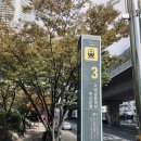 행정사법인 청효 이미지