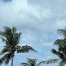 빵빵카서비스 | 괌 한인렌트카 드림렌트카 새벽 호텔 샌딩 서비스 내돈내산 주의사항